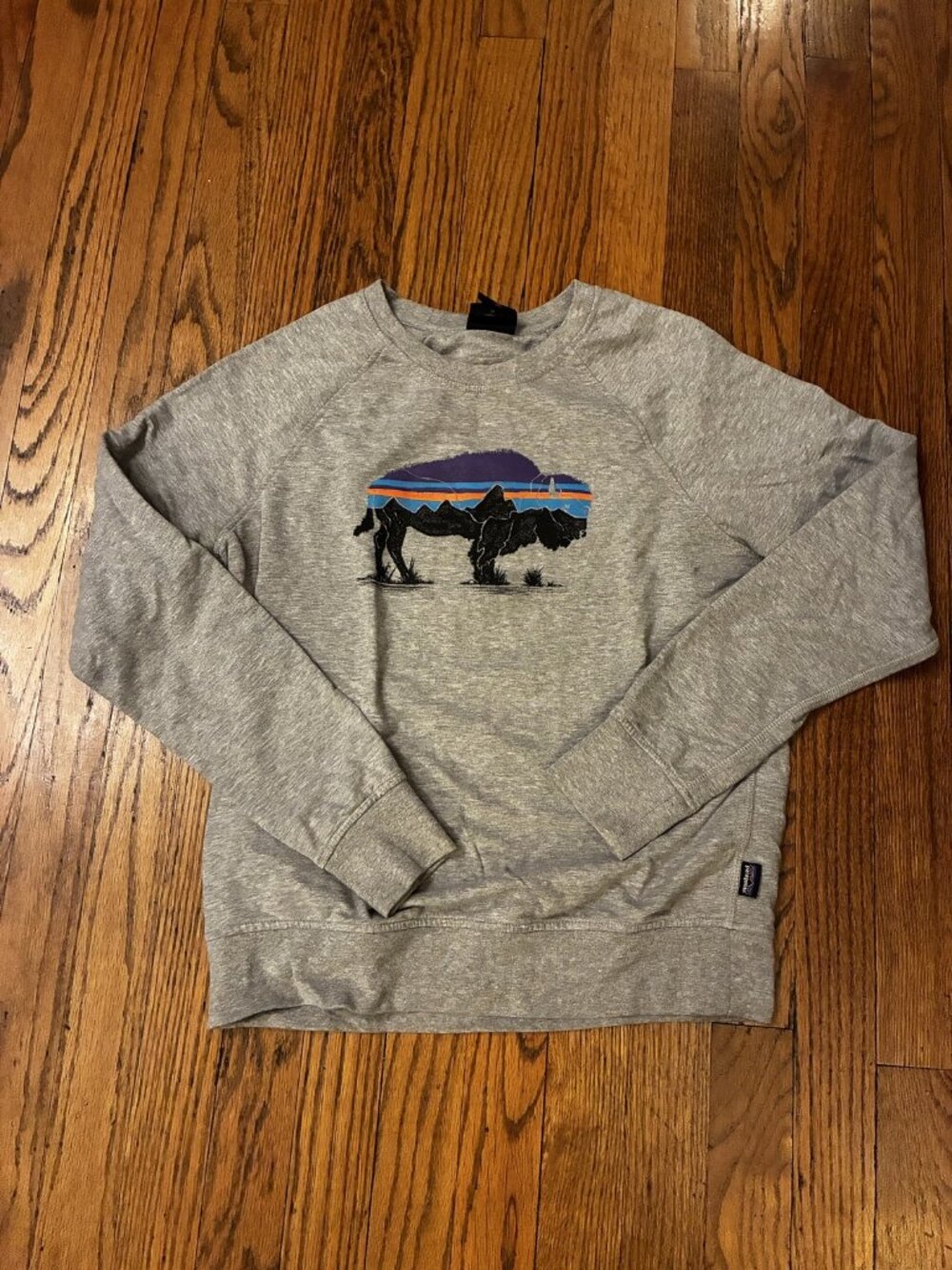 Patagonia Bison Graphic Sweatshirt Size XS Grey